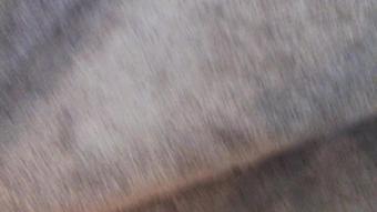 Quirky Girl Fucks Herself With Dildo All Over New House While Girlfriend is Gone (A Nature Doc)
