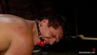14175_Bobbi_Parker