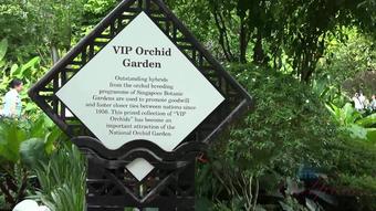 Atkgirlfriends.Singapore#2.1-3.25.06.17.Jamie.Marleigh.Today.You.Spend.A.Peaceful.Time.With.Jamie.At.The.Botanic.Gardens