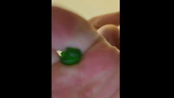 Giantess humiliation with vore - October 12, 2023