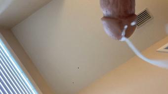 SPH and Humiliation Tasks
