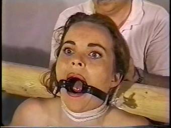 Bdv-40