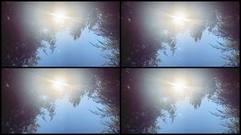 Welovealexstorm 28 05 2020 368202800 My Latest Little Story Recorded As Promised I Ve Never Made Anything Quite Like This