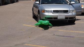Madison Crushes Inflatables With Car HD
