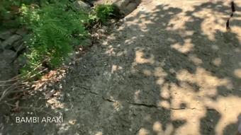 Amateur Teen Gets Fucked Outdoors at Public Park By The River