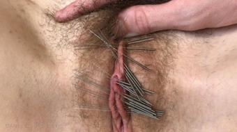 Its Lily Aftermath Of 23 Needles