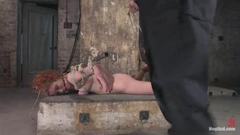 Hogtied - 2008.05.06 - Sabrina Fox (5281)