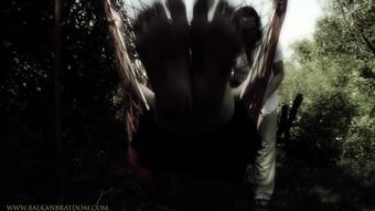 Bbd_23