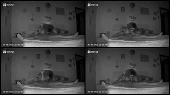 Ladyabla84 30 09 2022 2622119632 Una Bella Scopata Dall Inizio Alla Fine I Preliminari Non Sn Stati Registrati Mmm Qua