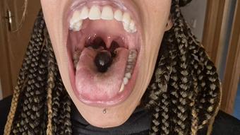 GRAPE VORE - December 22, 2022