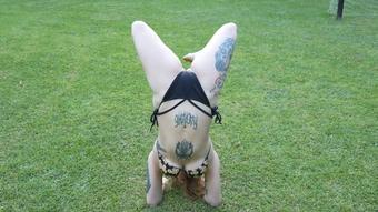 acrobatics in the garden - December 16, 2024