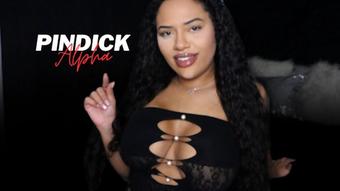 Pindick Alpha - February 08, 2025