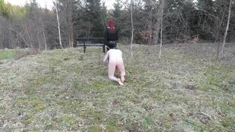 Walk The Doggy