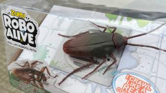 Cockroach unboxing + test :p - Jan 31, 2023