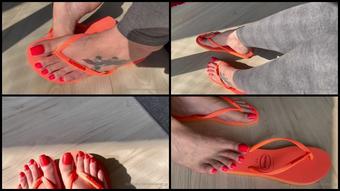 Producer Gg 04 06 2022 2467572493 Very Close For You To Delight In My Perfect Feet Enjoy Starring Grazigoddess