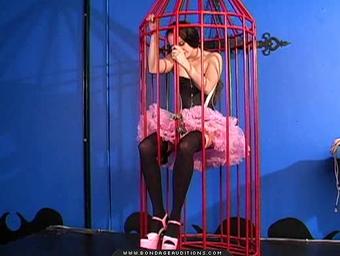 Evie Cage And Cane (1)