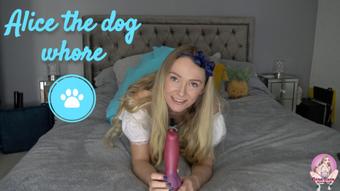 Alice the dog whore - December 12, 2019