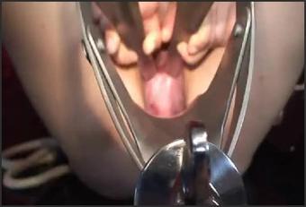 Horse Speculum Stretch May 11Th 2011