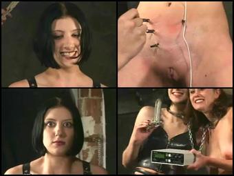 20010804   411 Punctured  Live Feed August 3  2001   411  101