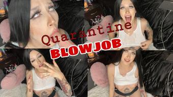 Pink Drip Quarantine Blowjob