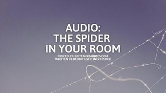 Audio: The Spider In Your Room