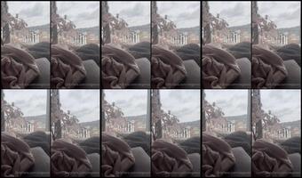Undersiegexo 12 02 2021 2030052303 Scroll Past If You Don T Like Sniffly Bitches Thank You Please Idc If I Sound Dumb Th