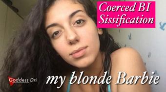My Blonde Barbie Doll
