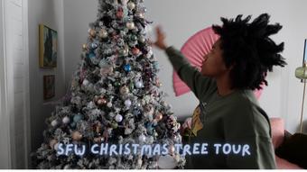 Christmas Tree Tour SFW - November 23, 2025
