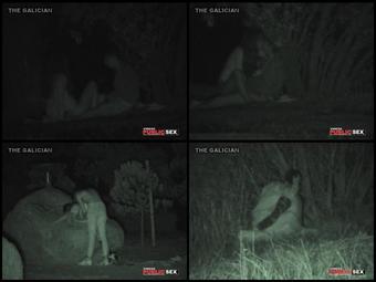 Night Watching 131