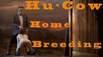 Hu-Cow Home Breeding - May 11, 2017