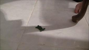 The-Little-Green-Gummy-Men