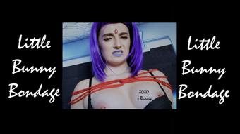 Raven Vibed for Information - Apr 28, 2021