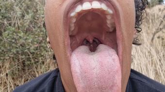 Mouth tour with JOI - November 06, 2022