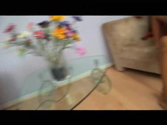 Evilution 2