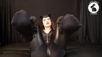 Catwoman's Feet - Nov 8, 2022