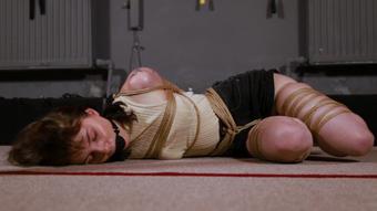 Irresistible bondage and huge ballgag - April 09, 2022