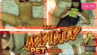 The Addicted Pet Sitter - August 27, 2024