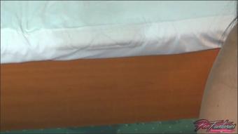 Wildeva P– The Hotel Room 3 Toilet Lid Bed