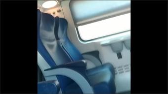 Nemibdesire Giovane Esibizionista Approfitta Del Treno Vuoto Per Masturbarsi La Fica