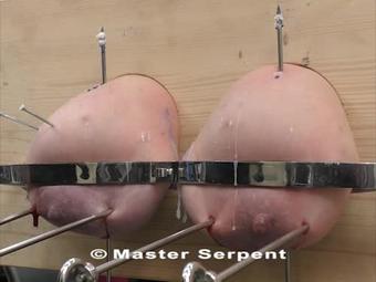 Sp_V14