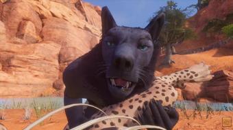 Wild Life / Female Furry POV