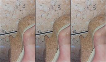 hotfeetnheels 2023-09-21 at 17-34 Fansly (hotfeetnheels )