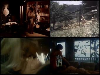 Very Best Of Annette Haven