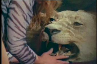 The House On Chasey Lane - Sc2 480P