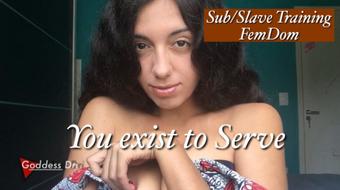 Your existence - You exist to Serve