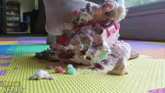 Cake Slice Gets Smooshed by Feet