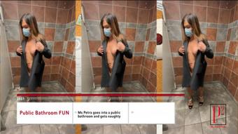 Public Bathroom Fun - Stream Version