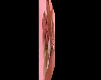 Vs_005
