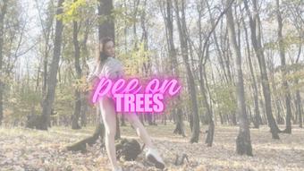 Forest fun - November 01, 2023