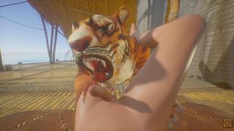 Tiger Furry Knotting Gay Teen Guy POV